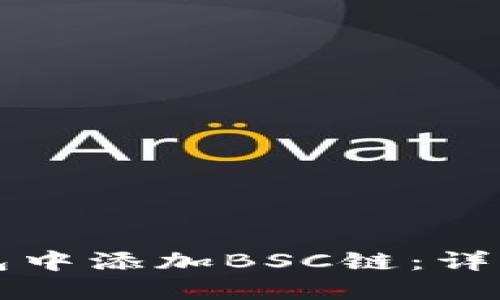 如何在TP钱包中添加BSC链:详细步骤与指南