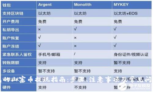TP钱包的山寨币提现指南:步骤、注意事项及常见问题解析