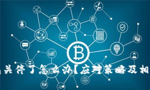 如果TP钱包关停了怎么办？应对策略及相关问题解析