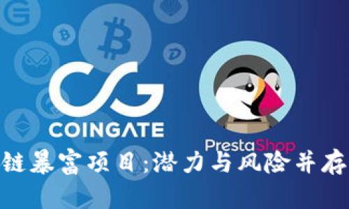 : 揭秘区块链暴富项目：潜力与风险并存的投资机会