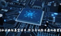 : 揭秘区块链暴富项目：潜力与风险并存的投资机